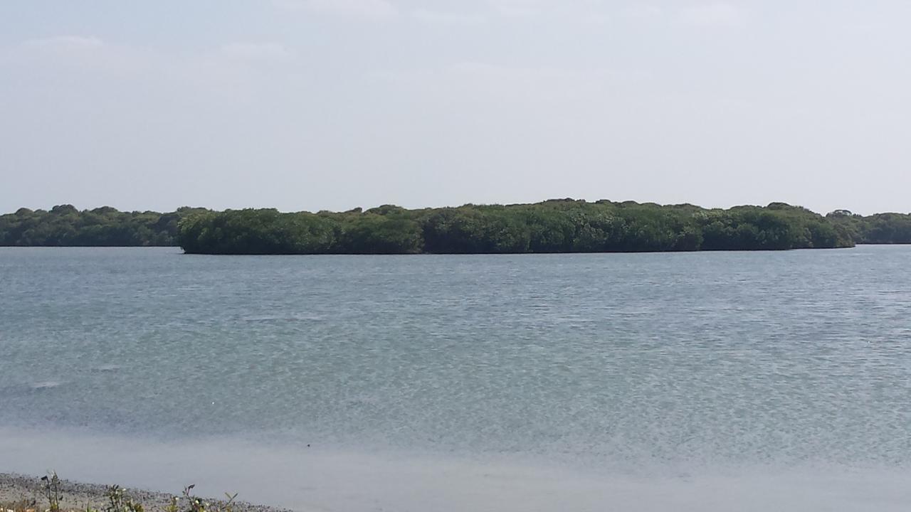 Anoleth Otel Kalpitiya Dış mekan fotoğraf
